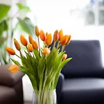 Apartamento Westerbrise App 2 Veit