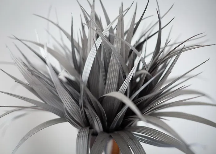 Westerbrise App 2 Veit Wenningstedt-Braderup