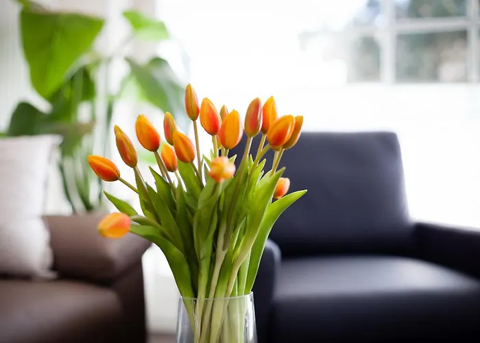 Apartamento Westerbrise App 2 Veit